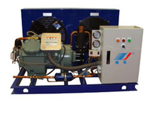 風(fēng)冷活塞冷凝機組（低溫雙級）